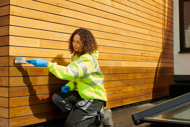 Affordable Siding Repair and Maintenance Services in Benson, MN